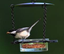 wild birds unlimited nature shop wild birds unlimited nature shop